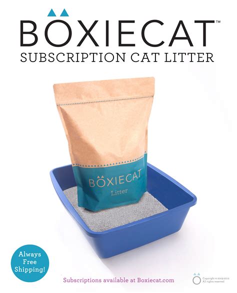 can boxicat be used in an electric cat box|boxie cat cat litter reviews.